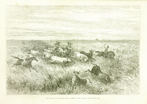 Une corrida de bétail dans les Llanos (Una corrida de ganado en los Llanos) 